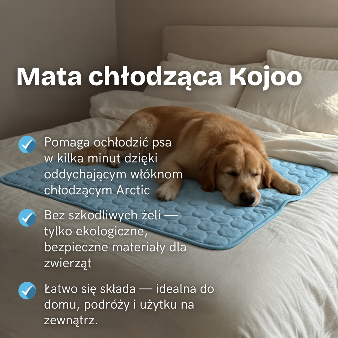 Kojoo™